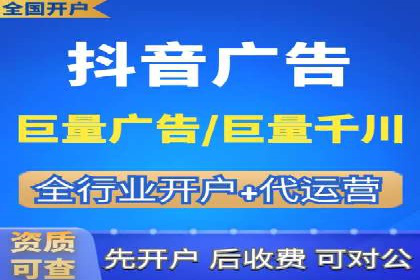 大型企业SEM外包实战案例
